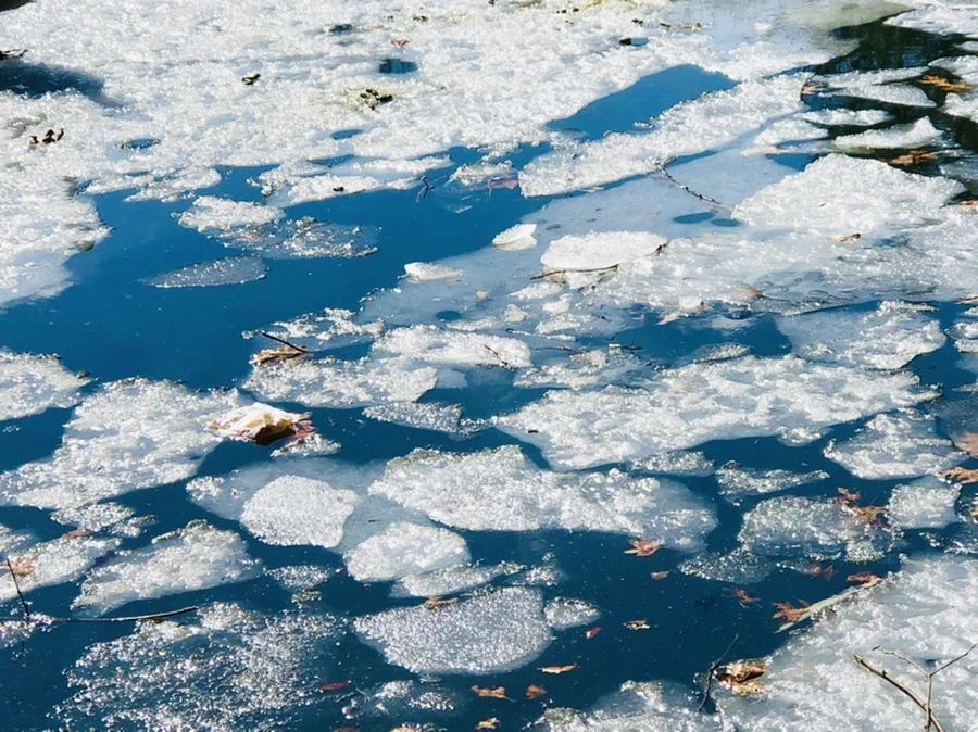 IMG_5073.jpg?type=w966