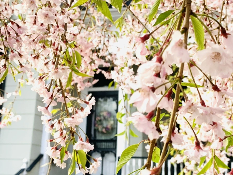 IMG_3697.jpg?type=w966