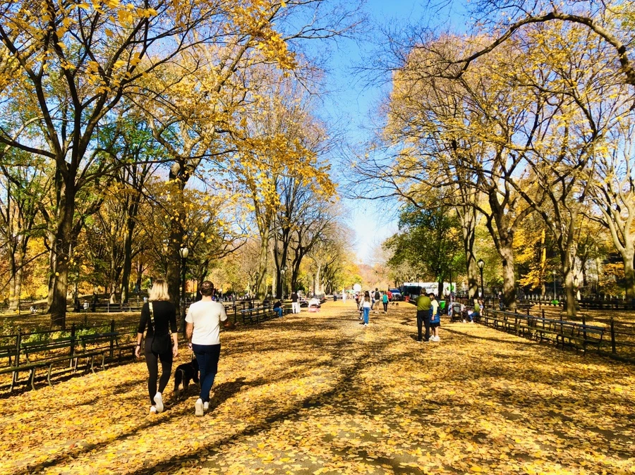 IMG_4267.jpg?type=w966