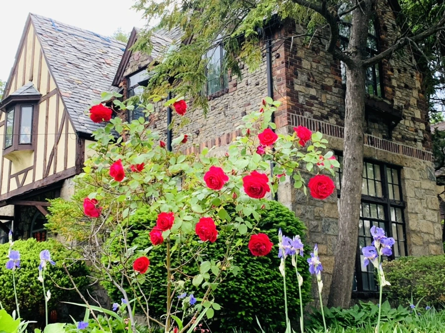 IMG_4809.jpg?type=w966