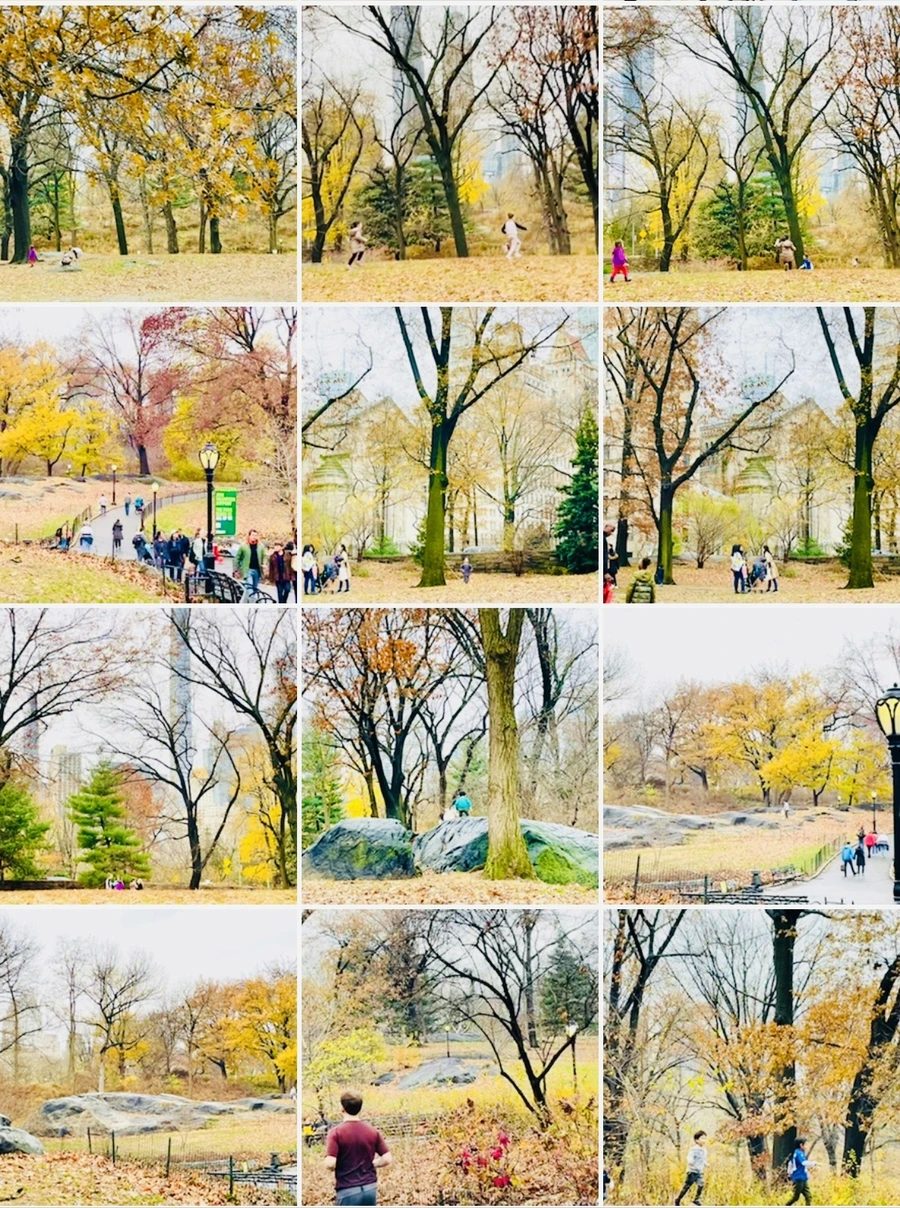 IMG_6484.jpg?type=w966