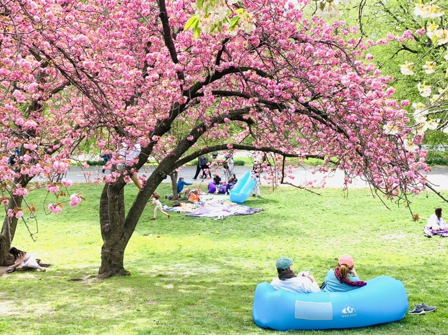 IMG_5182.jpg?type=w966