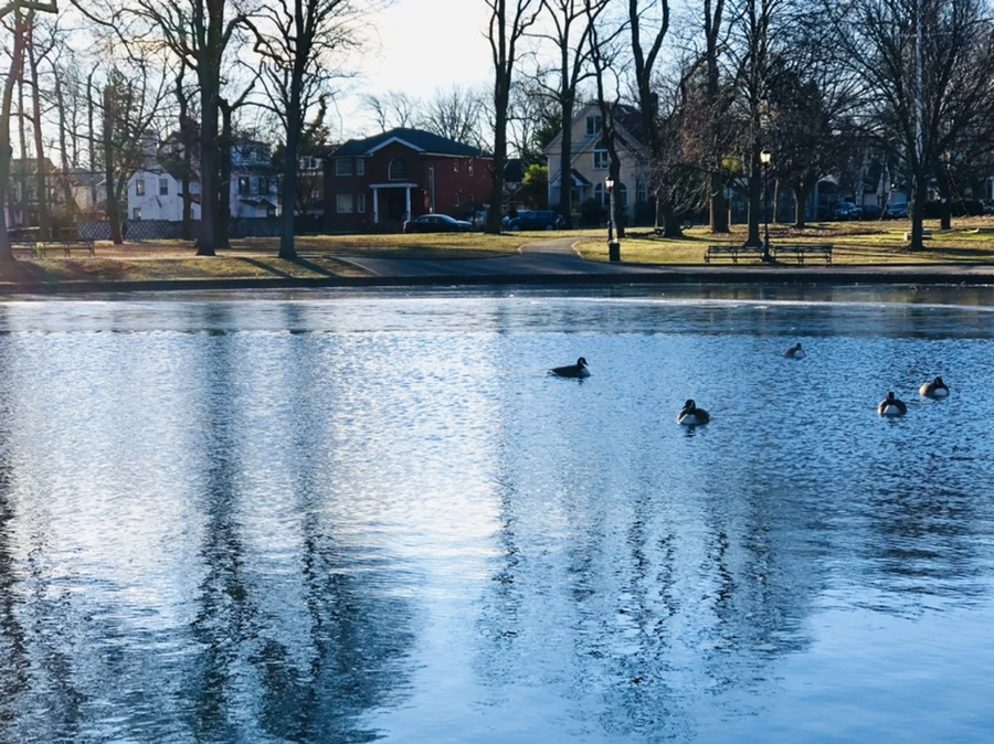 IMG_1393.jpg?type=w966