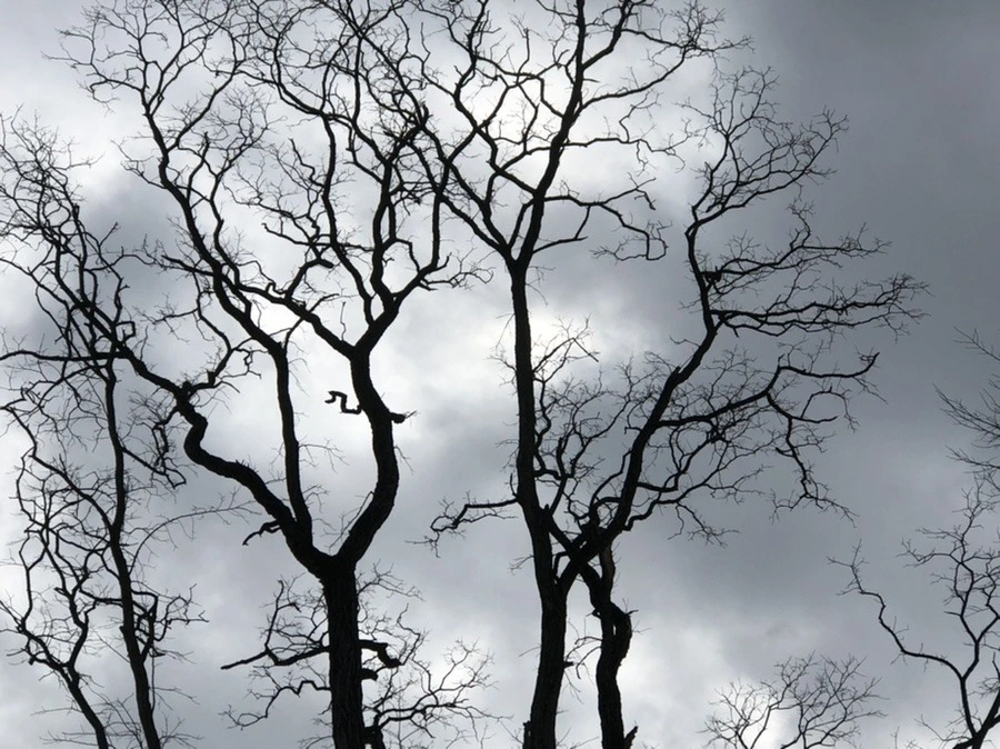 fhu1MAUjMp6h2c8bcAMMgMaHbfA