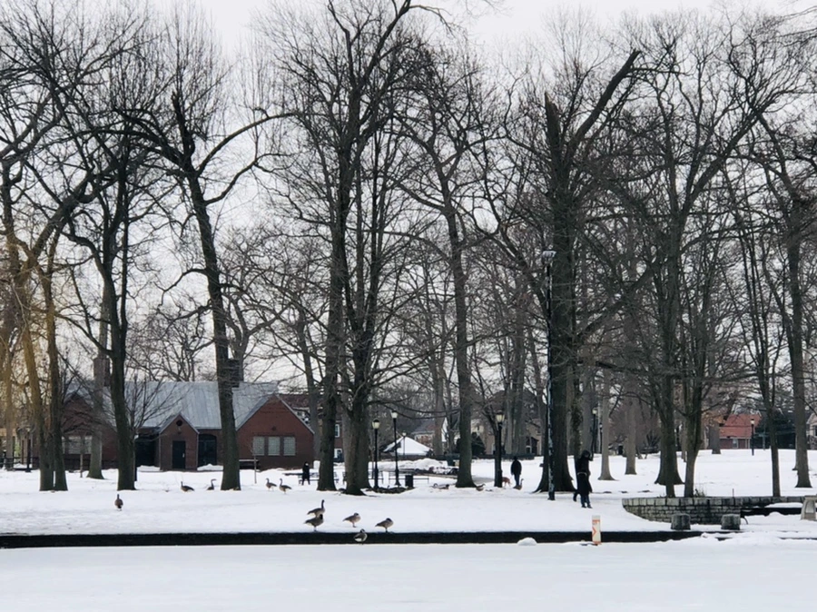 IMG_4437.jpg?type=w966