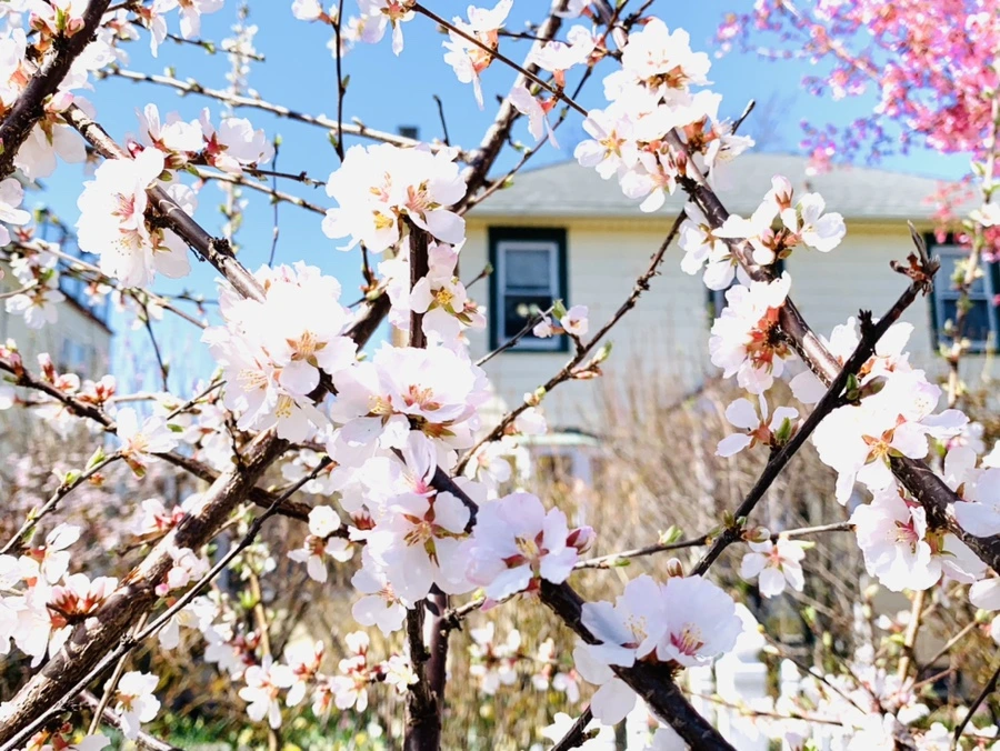 IMG_8033.jpg?type=w966