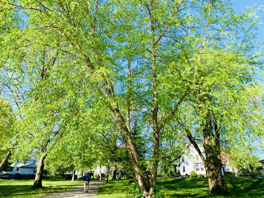 IMG_0389.jpg?type=w966