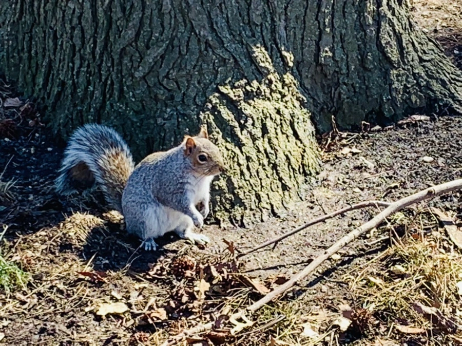 IMG_6943.jpg?type=w966