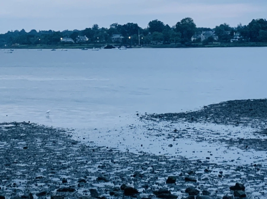 IMG_0693.jpg?type=w966