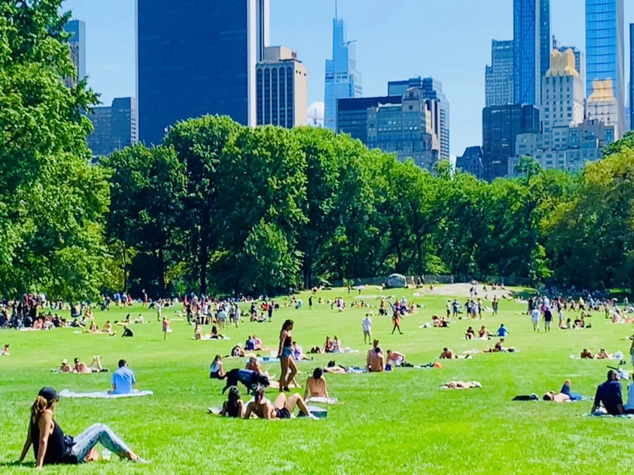 IMG_4417.jpg?type=w966