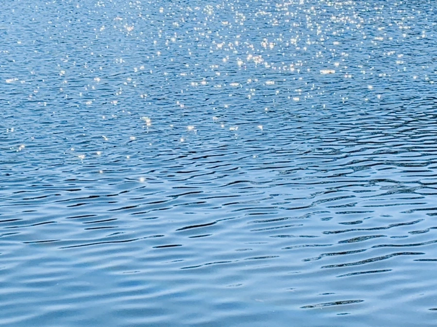 IMG_0025.jpg?type=w966