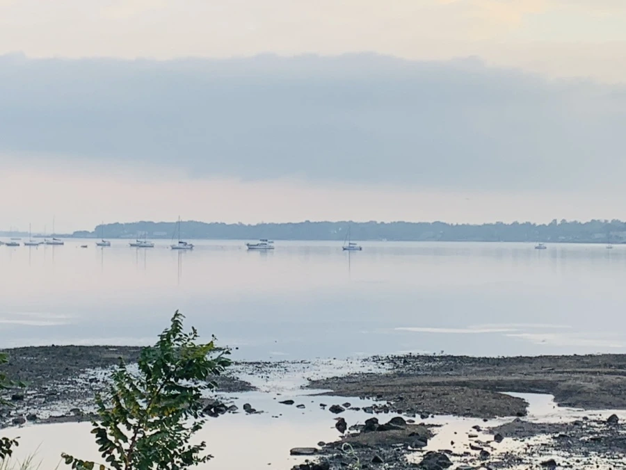 IMG_8222.jpg?type=w966