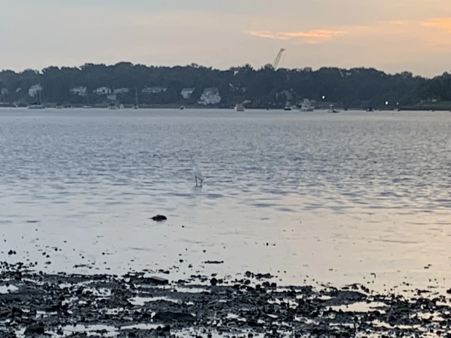 IMG_8169.jpg?type=w966