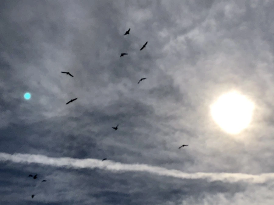 zxevf3WpQ_1ngS4_XIgvD6fQgQQ