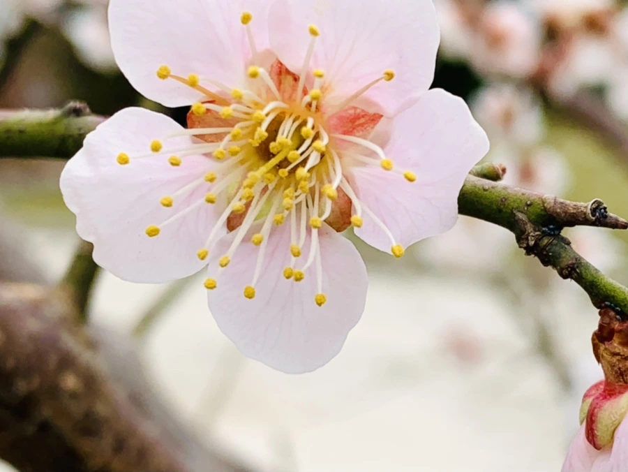 IMG_1681.jpg?type=w966