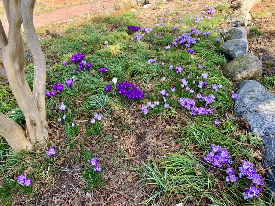 IMG_4368.jpg?type=w966