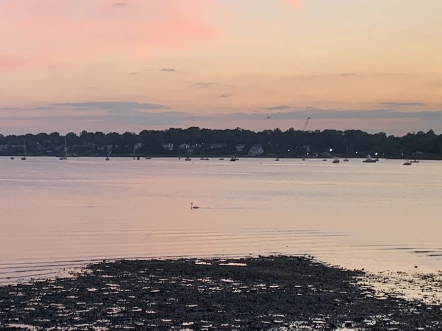 IMG_8724.jpg?type=w966