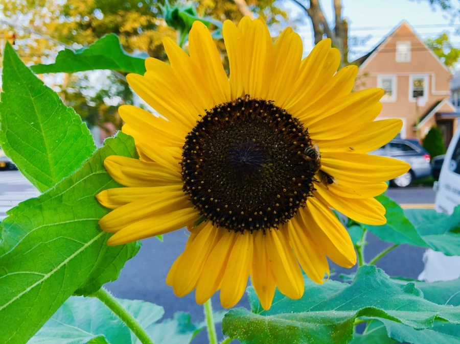 IMG_3504.jpg?type=w966