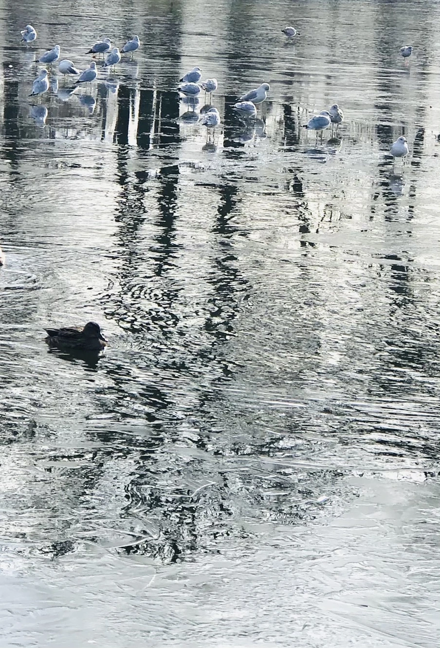 IMG_8463.jpg?type=w966