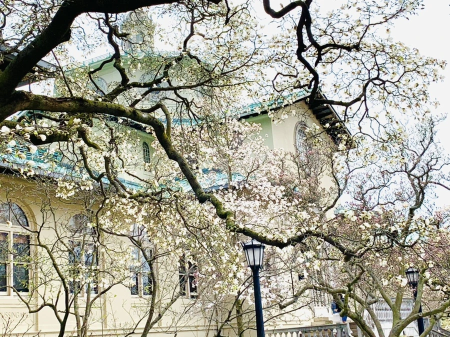 IMG_7149.jpg?type=w966