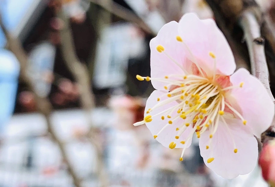 IMG_0525.jpg?type=w966