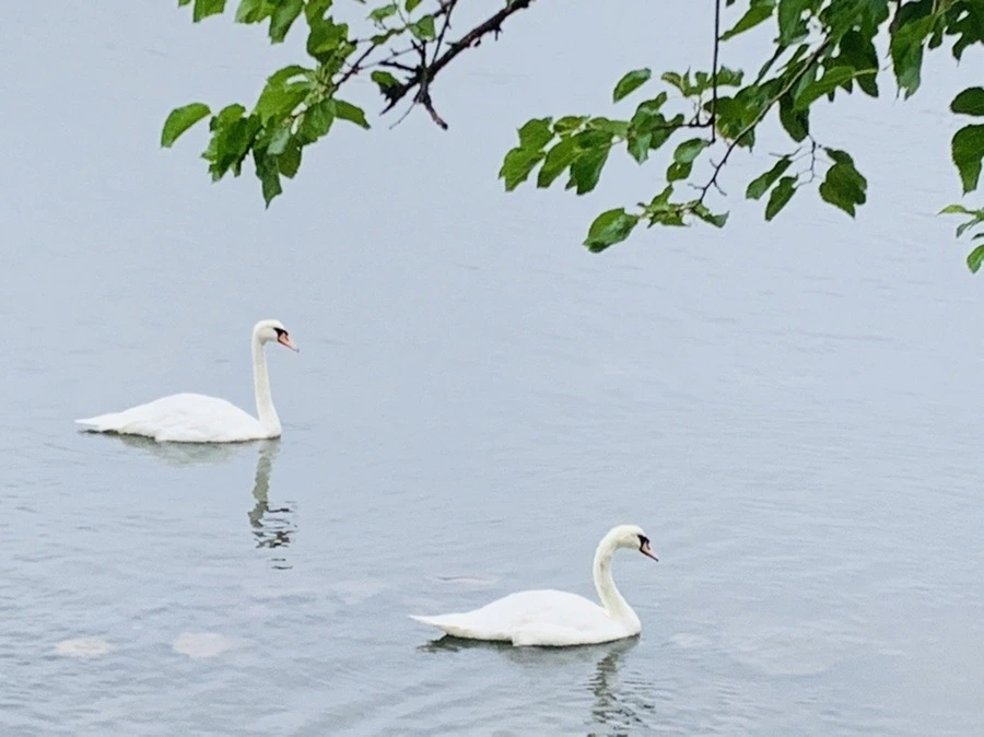 rmefNqWiDb51Z4ii3dD4JIVZT80