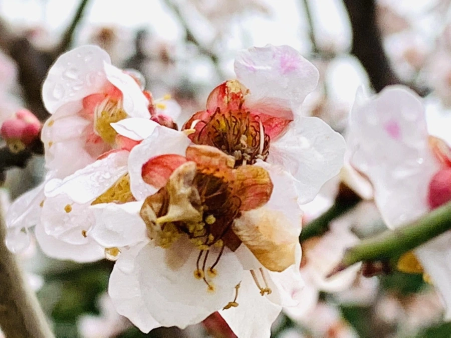 IMG_3943.jpg?type=w966