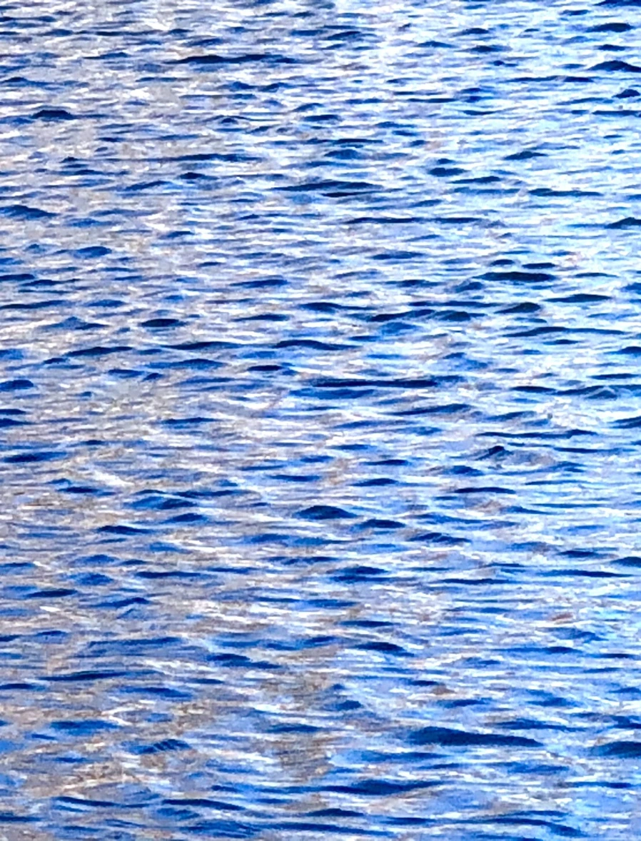 IMG_3794.jpg?type=w966