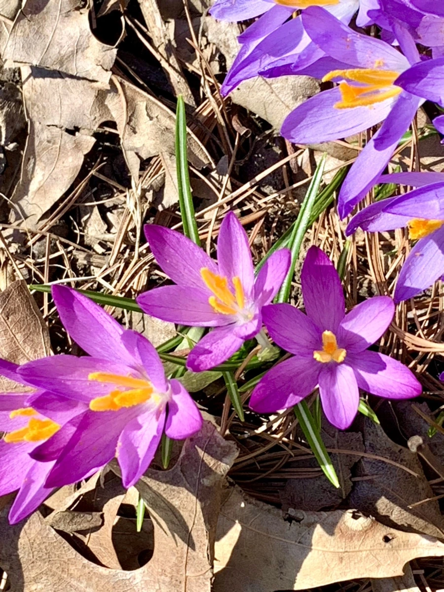 IMG_9770.jpg?type=w966