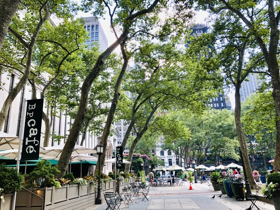 IMG_1300.jpg?type=w966