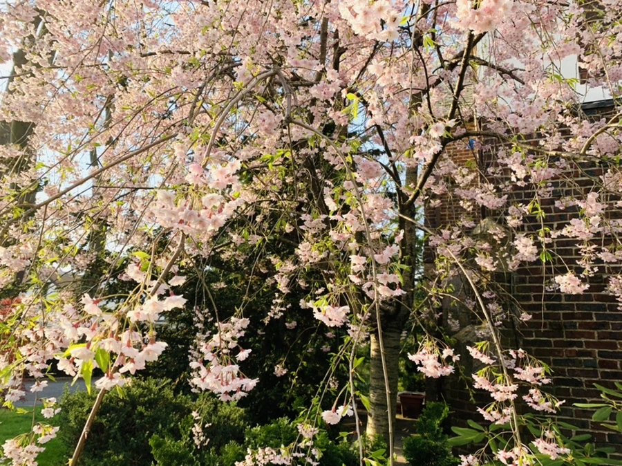 IMG_3789.jpg?type=w966