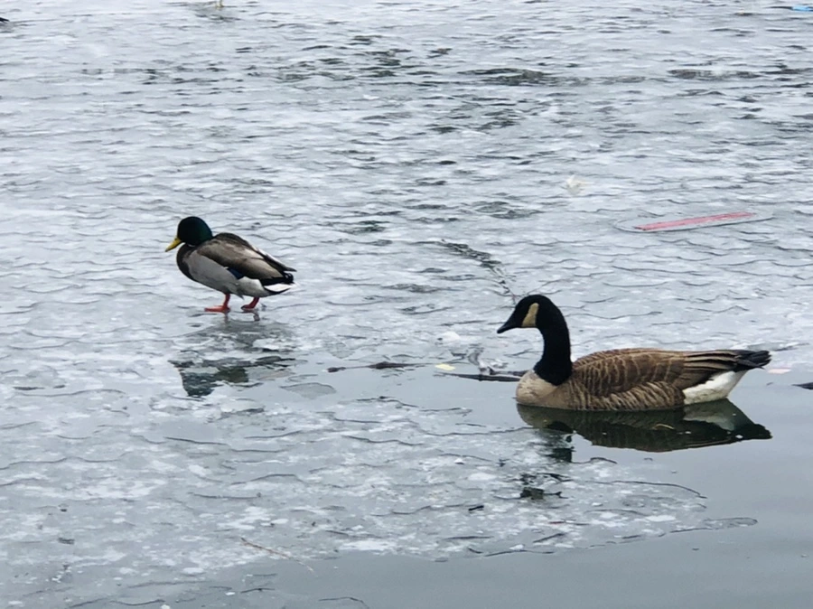 IMG_6189.jpg?type=w966