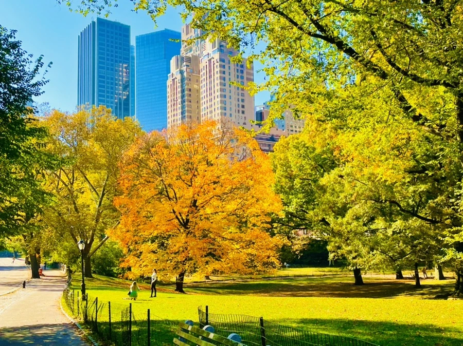 IMG_1709.jpg?type=w966