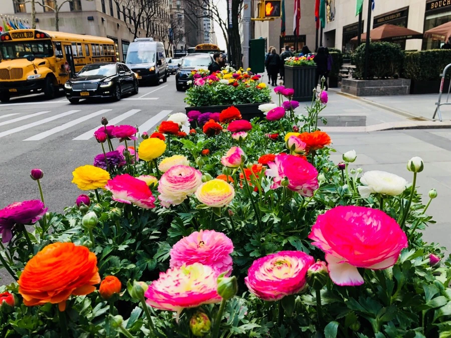 IMG_4262.jpg?type=w966