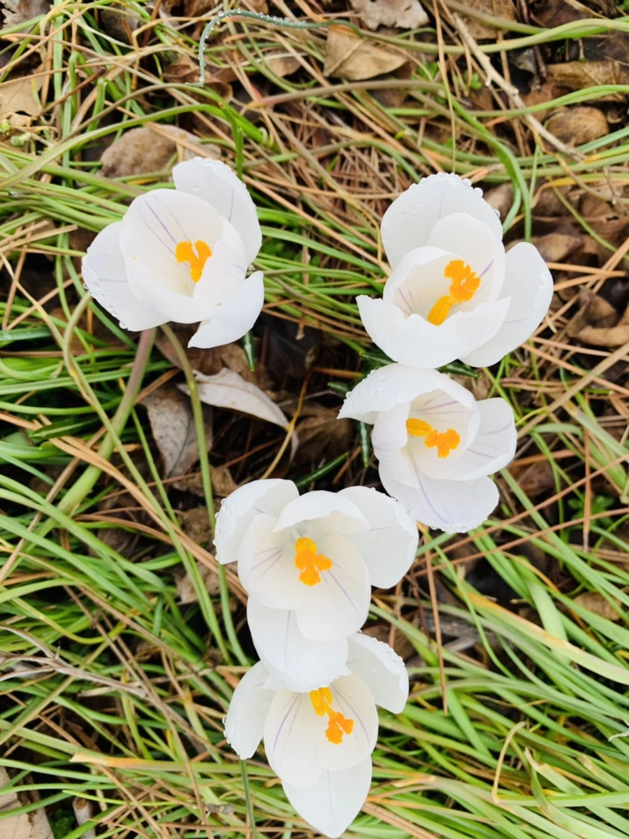 IMG_3783.jpg?type=w966