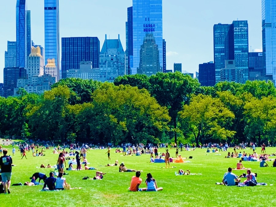 IMG_4419.jpg?type=w966