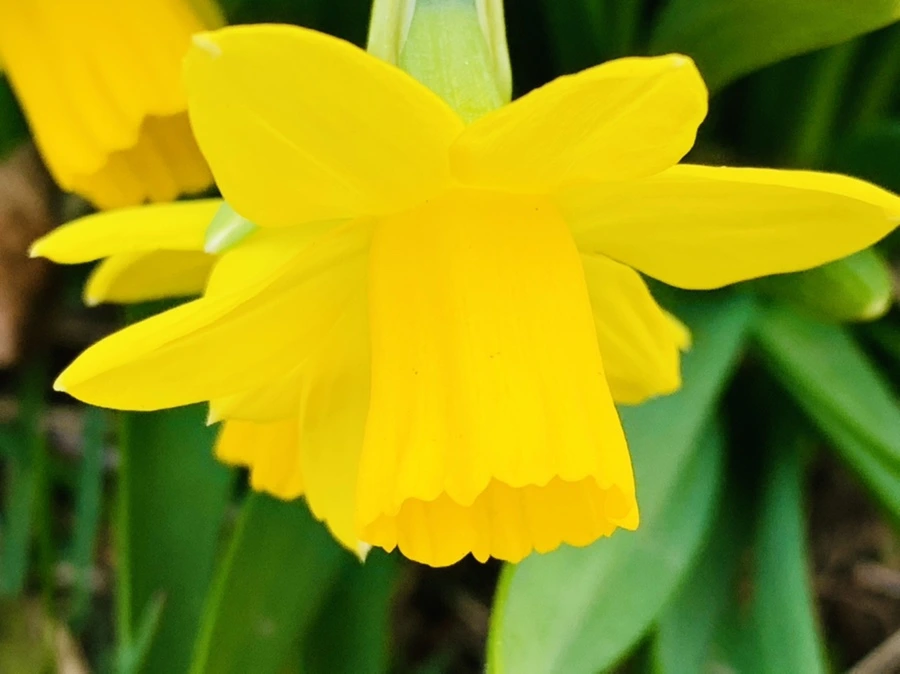 IMG_3217.jpg?type=w966