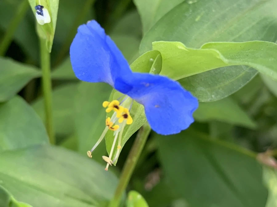 IMG_8287.jpg?type=w966