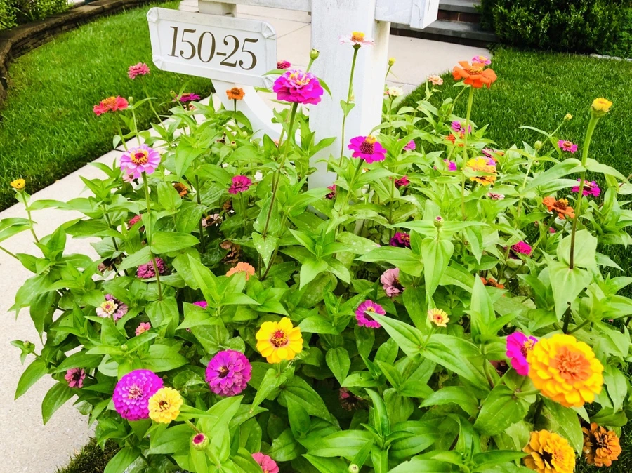 IMG_3647.jpg?type=w966