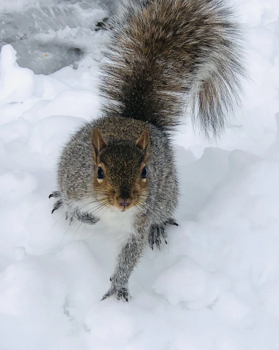 IMG_9240.jpg?type=w966