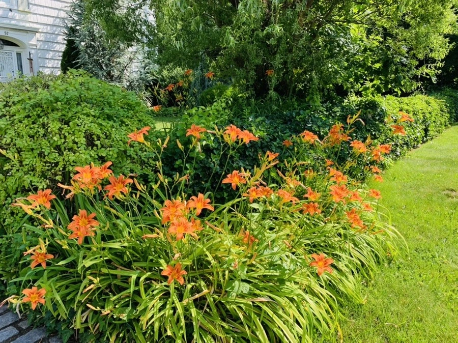 lXMo__PRQXWDkbDSdfTg8RK47gI