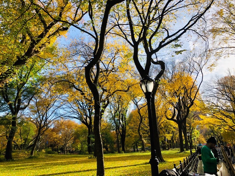 IMG_7514.jpg?type=w966