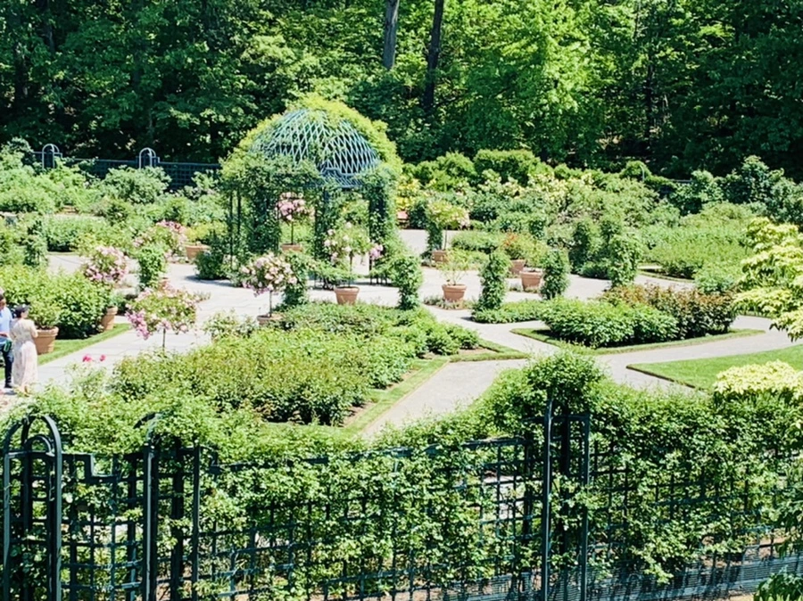 IMG_3876.jpg?type=w966