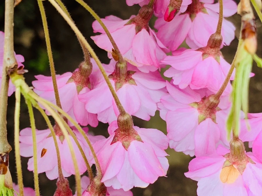 IMG_1141.jpg?type=w966