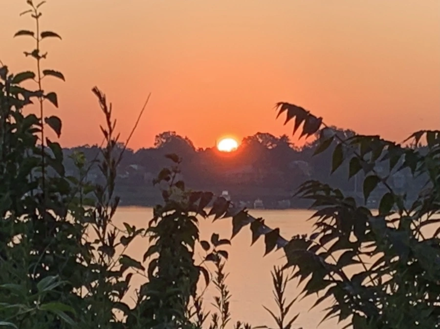 IMG_7174.jpg?type=w966