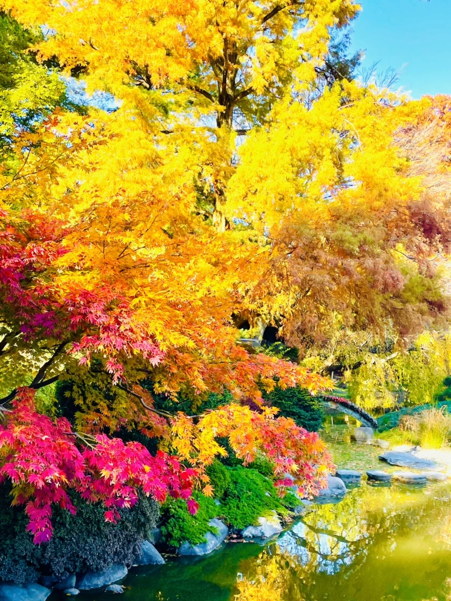 IMG_2124.jpg?type=w966