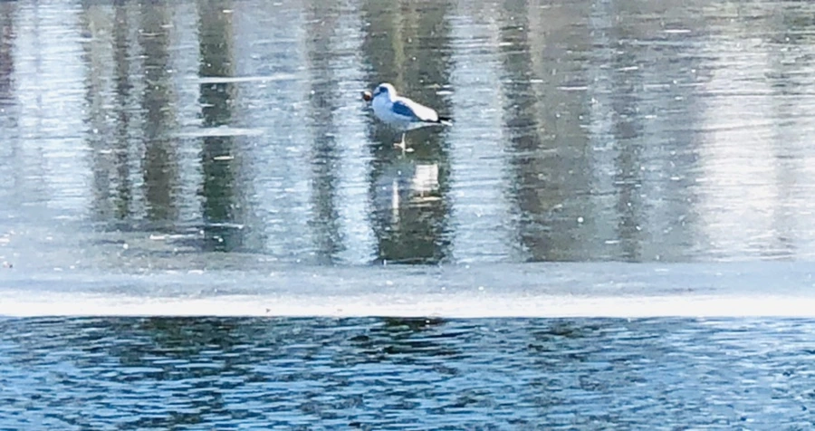 IMG_5588.jpg?type=w966