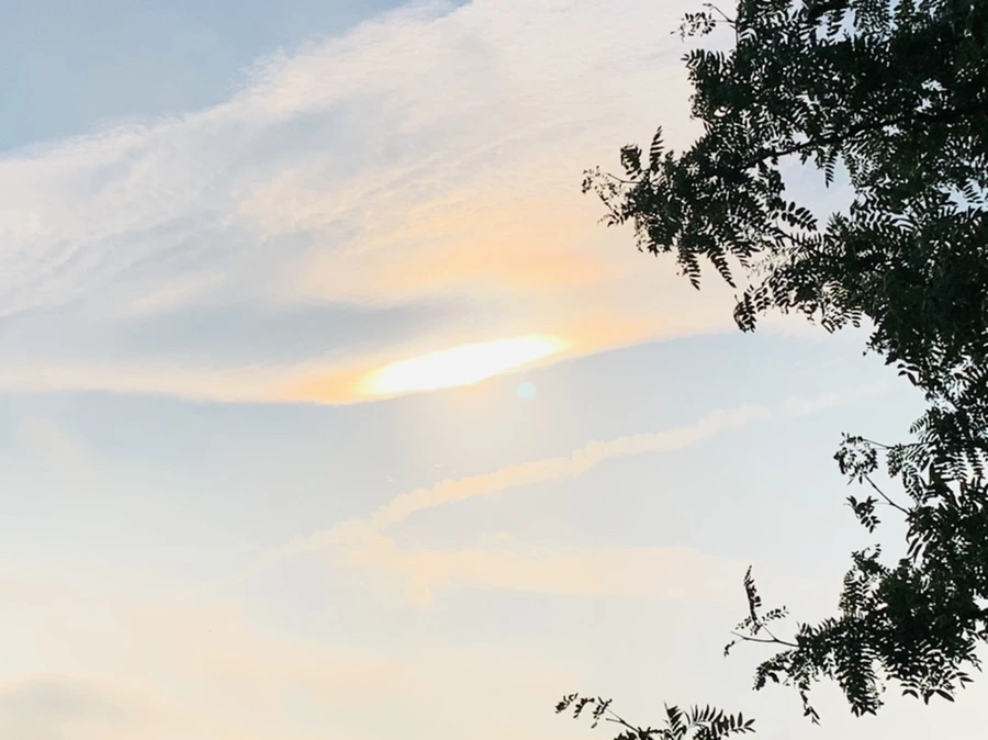 IMG_2227.jpg?type=w966