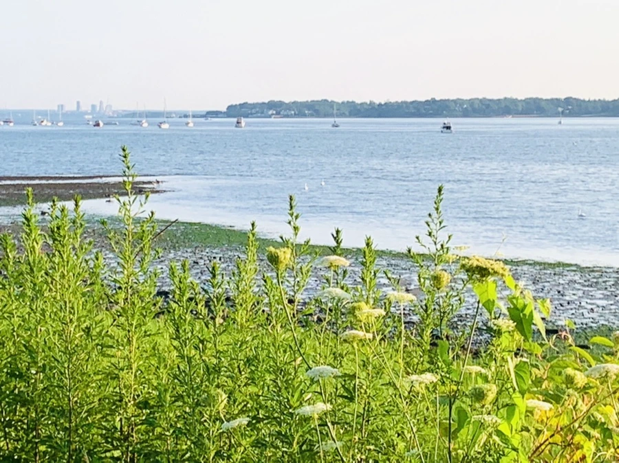 IMG_9826.jpg?type=w966