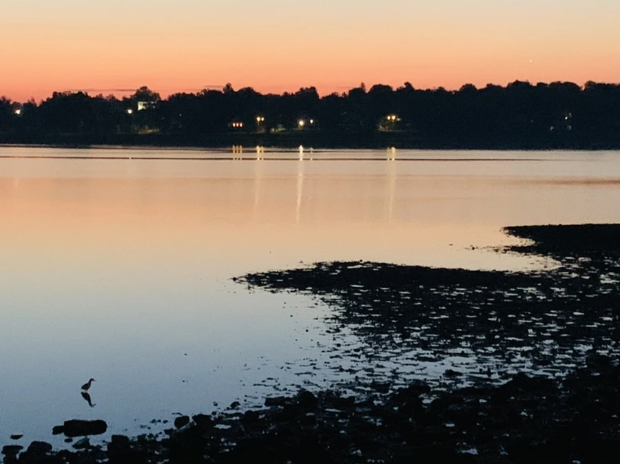 IMG_6998.jpg?type=w966